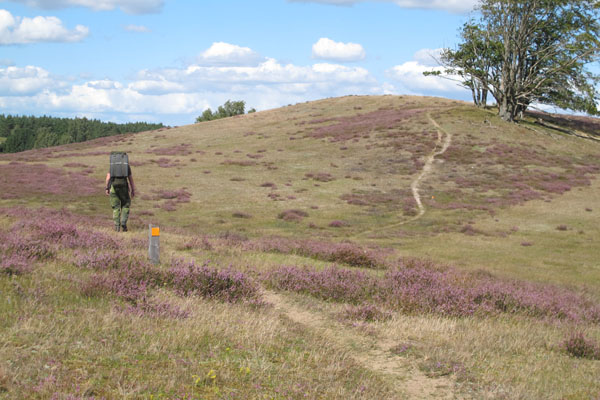 Drakamöllans naturreservat