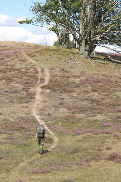 Drakamöllans naturreservat