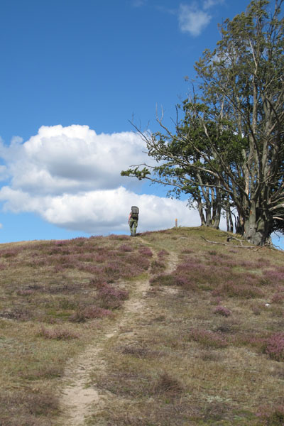 Drakamöllans naturreservat